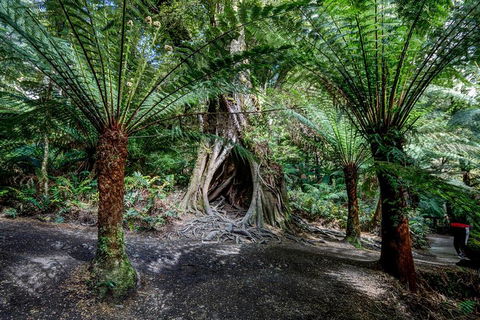 Adelaide To Melbourne 3-Day Trip Through Grampians And Great Ocean Road - Darwin Holiday 0