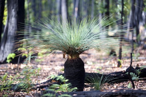Adelaide To Melbourne 3-Day Trip Through Grampians And Great Ocean Road - Darwin Holiday 4
