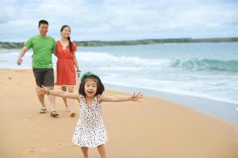 Phillip Island Penguin Parade Day Trip With Koala Conservation Reserve Visit - Darwin Holiday 5