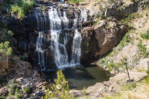 Grampians National Park With Kangaroos And MacKenzie Falls From Melbourne - Darwin Holiday 1