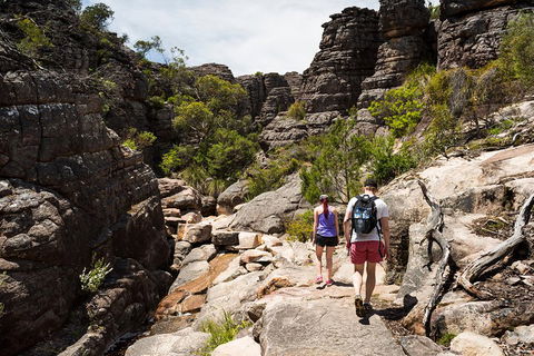 Grampians National Park With Kangaroos And MacKenzie Falls From Melbourne - Darwin Holiday 3