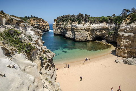 Great Ocean Road Reverse Itinerary With 12 Apostles From Melbourne - Darwin Holiday 5