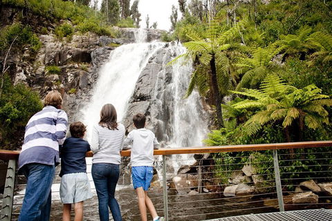 Melbourne Snow Trip To Lake Mountain With Chocolates Visit To A Waterfall - Darwin Holiday 3