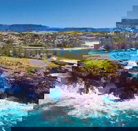 Sydney Wine Tour  Wine Waves  Wildlife in South Coast - Darwin Holiday