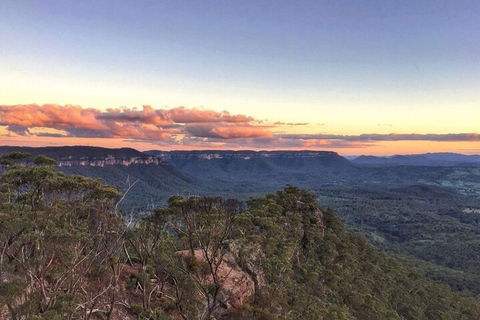 Blue Mountains Sunset Tour | Kangaroos & Koala Encounter (Private Tour) - Darwin Holiday 0