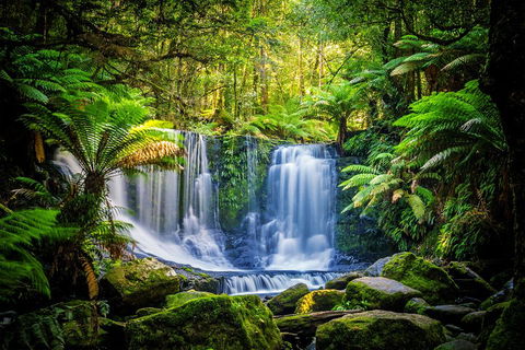 Day Tour In Mt. Field, Mt. Wellington, Bonorong Wildlife Sanctuary And Richmond - Darwin Holiday 0
