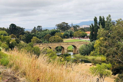 Day Tour In Mt. Field, Mt. Wellington, Bonorong Wildlife Sanctuary And Richmond - Darwin Holiday 3