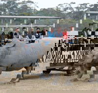 Off-Road Safari at Werribee Open Range Zoo - Darwin Holiday
