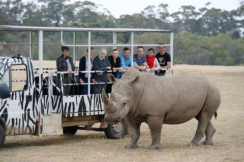 Off-Road Safari At Werribee Open Range Zoo - Darwin Holiday 0