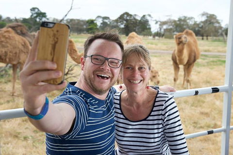Off-Road Safari At Werribee Open Range Zoo - Darwin Holiday 1