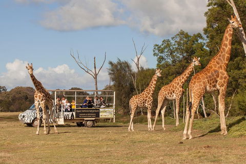Off-Road Safari At Werribee Open Range Zoo - Darwin Holiday 3