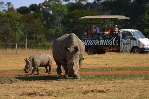 Off-Road Safari At Werribee Open Range Zoo - Darwin Holiday 5