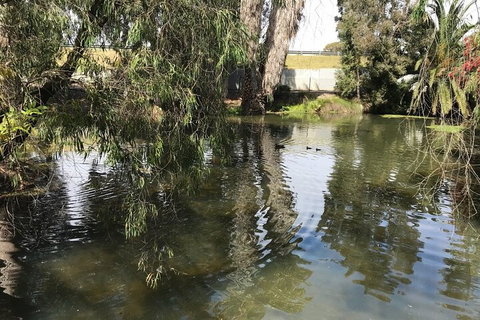 Perth East Foreshore And City Segway Tour - Darwin Holiday 1