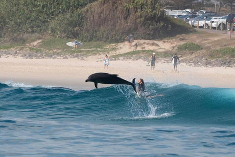 Cruise With Dolphins In Byron Bay - Darwin Holiday 3