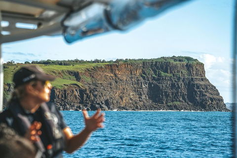 Cruise With Dolphins In Byron Bay - Darwin Holiday 4