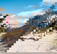 Pittwater Discovery Kayaking Tour - Darwin Holiday