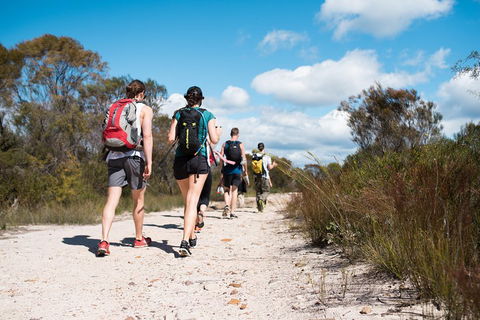 Pittwater Discovery Kayaking Tour - Darwin Holiday 0