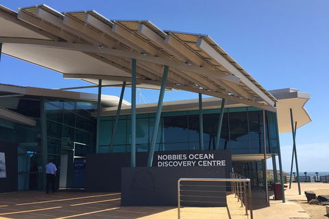 Phillip Island Penguin And Koala Highlights Day-Trip From Melbourne - Darwin Holiday 1