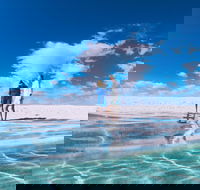 4-Day Coastal Loop via Monkey Mia Wild Dolphins Kalbarri Pinnacles Perth Return - Darwin Holiday