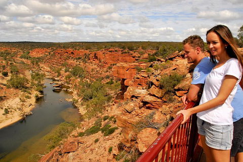4-Day Coastal Loop Via Monkey Mia Wild Dolphins Kalbarri Pinnacles Perth Return - Darwin Holiday 3