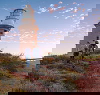 6-Day Coral Coaster from Perth to Exmouth One-Way via Monkey Mia Ningaloo Reef - Darwin Holiday