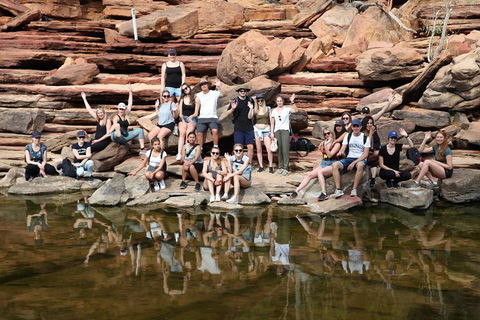 6-Day Coral Coaster From Perth To Exmouth One-Way Via Monkey Mia Ningaloo Reef - Darwin Holiday 2