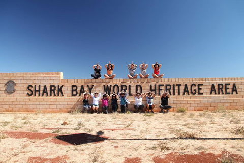 6-Day Coral Coaster From Perth To Exmouth One-Way Via Monkey Mia Ningaloo Reef - Darwin Holiday 4