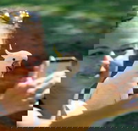 2-Day Melbourne to Adelaide Tour Great Ocean Road and Grampians One Way Trip - Darwin Holiday