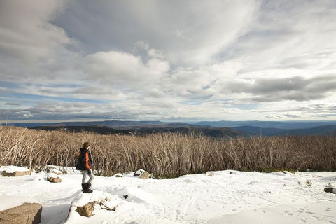 Lake Mountain Snow Trip Including Yarra Valley Chocolaterie From Melbourne - Darwin Holiday 5