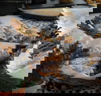 Eumundi Markets and Sunshine Coast Day Trip from Brisbane - Darwin Holiday