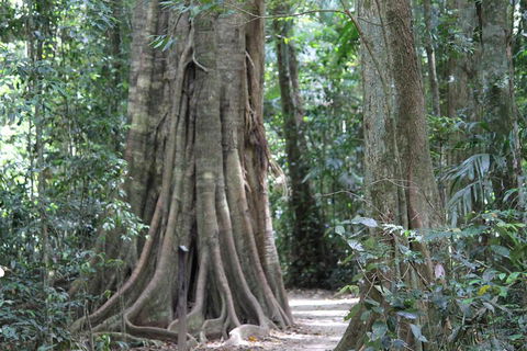Noosa And Sunshine Coast Hinterland Day Trip From Brisbane - Darwin Holiday 3