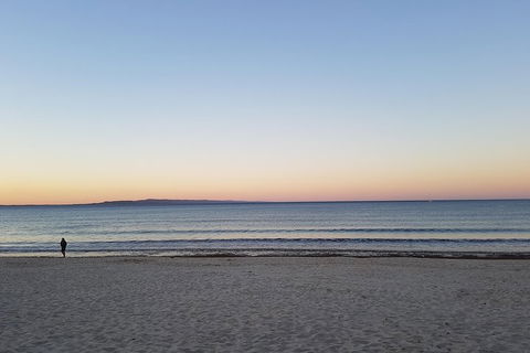 Noosa And Sunshine Coast Hinterland Day Trip From Brisbane - Darwin Holiday 5