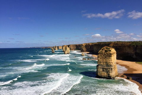 Great Ocean Road Reverse Itinerary Tour - Darwin Holiday 4