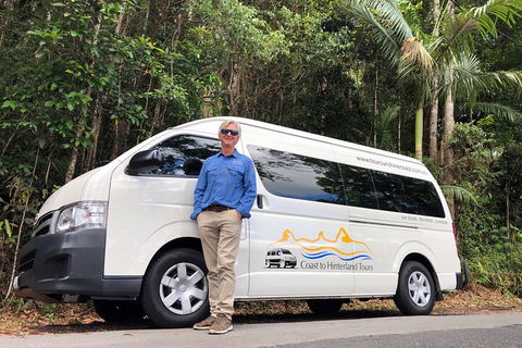 Sunshine Coast Hinterland Rainforest, Views And Montville Day Tour Inc. Lunch - Darwin Holiday 1