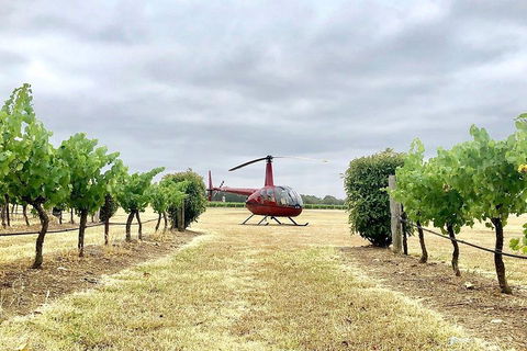 Private Helicopter Flight To Hunter Valley With A La Carte Lunch - For 2 - Darwin Holiday 4
