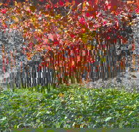 Margaret River Private Tour - Darwin Holiday