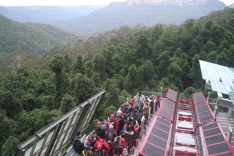 Blue Mountains Private Tour With Wildlife Park And River Cruise - Darwin Holiday 1
