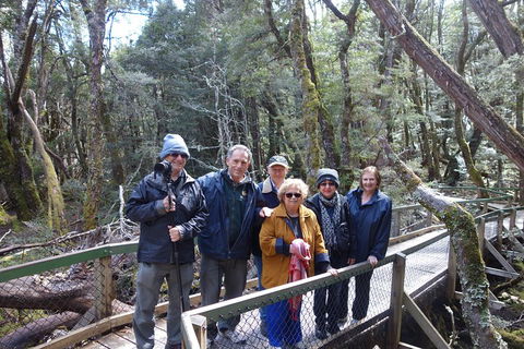Blue Mountains Private Tour With Wildlife Park And River Cruise - Darwin Holiday 2