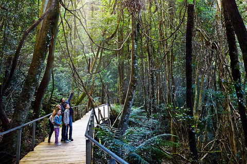 Blue Mountains Private Tour With Wildlife Park And River Cruise - Darwin Holiday 4