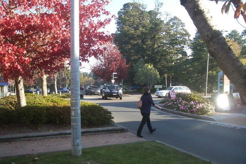 PRIVATE All-Day Blue Mountains Tour With Professional Guide For Up To 4 People - Darwin Holiday 1