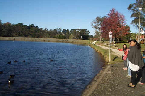 PRIVATE All-Day Blue Mountains Tour With Professional Guide For Up To 4 People - Darwin Holiday 2