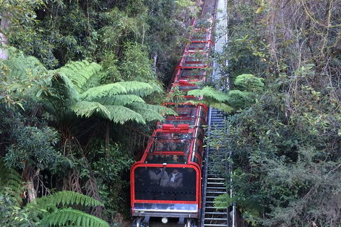 Blue Mountains Private Full-Day Tour From Sydney With Cruise - Darwin Holiday 5