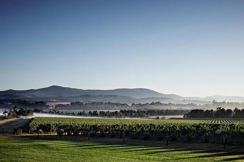 Chauffeur Driven Yarra Valley Group Wine Tour - Up To 7 - Darwin Holiday 2