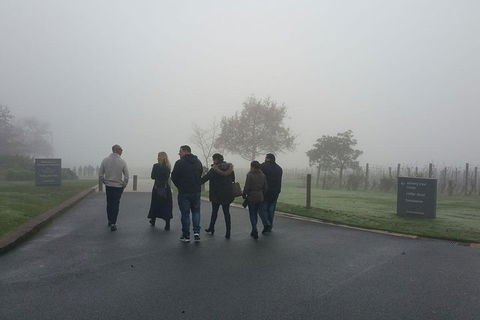 Chauffeur Driven Yarra Valley Group Wine Tour - Up To 7 - Darwin Holiday 4