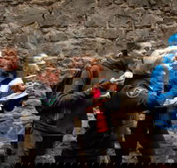 History  Donuts Walking Tour - Darwin Holiday