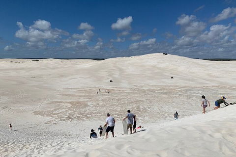 Pinnacles Day Trip From Perth Including Yanchep National Park - Darwin Holiday 2