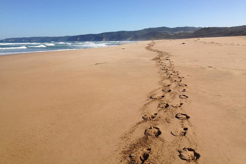 Private Great Ocean Road Full Day Tour - 1 Day Tour - Darwin Holiday 5