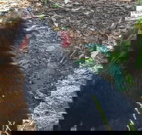 Phillip Island Penguin and wildlife Tour - Darwin Holiday