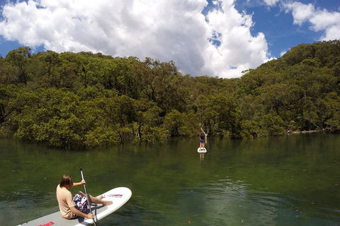 Ku-ring-gai Chase National Park Stand Up Paddleboard Tour - Darwin Holiday 1