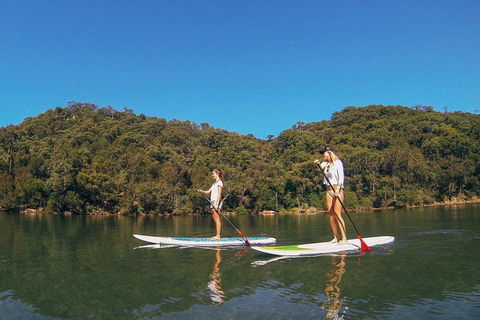 Ku-ring-gai Chase National Park Stand Up Paddleboard Tour - Darwin Holiday 2